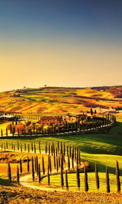 Dimex Tuscany Fotobehang 150x250cm 2 banen | Yourdecoration.nl