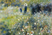 Dimex Woman in Garden Fotobehang 375x250cm 5 banen | Yourdecoration.nl