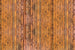 Dimex Wood Plank Fotobehang 375x250cm 5 banen | Yourdecoration.nl