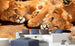 Dimex Young Lions Fotobehang 375x250cm 5 banen Sfeer | Yourdecoration.nl