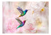 Fotobehang - Colourful Hummingbirds Pink - Vliesbehang