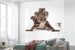 Komar Koala Vlies Fotobehang 300X280Cm 6 Delen Sfeer | Yourdecoration.nl