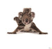 Komar Koala Vlies Fotobehang 300X280Cm 6 Delen | Yourdecoration.nl