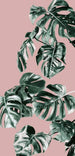 Komar Monstera Rose Groen Vlies Fotobehang 100x250cm 1 baan | Yourdecoration.nl