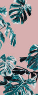 Komar Monstera Rose Blauw Vlies Fotobehang 100x250cm 1 baan | Yourdecoration.nl