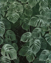 Komar Monstera on Marble Vlies Fotobehang 200x250cm 2 banen | Yourdecoration.nl