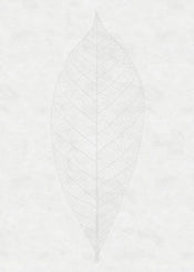 Komar Decent Leaf Vlies Fotobehang 200x280cm 2 banen | Yourdecoration.nl