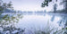 Komar Morning View Vlies Fotobehang 200x100cm 1 baan | Yourdecoration.nl