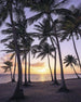 Komar Palmtrees on Beach Vlies Fotobehang 200x250cm 2 banen | Yourdecoration.nl