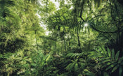 Komar Into The Jungle Vlies Fotobehang 400x250cm 4 banen | Yourdecoration.nl