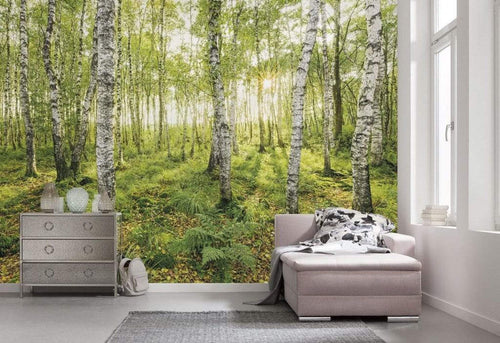 Komar Birch Trees Vlies Fotobehang 400x250cm 4 banen Sfeer | Yourdecoration.nl