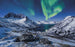 Komar I LOVE Norway Vlies Fotobehang 400x250cm 4 banen | Yourdecoration.nl