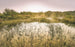 Komar Morning View II Vlies Fotobehang 400x250cm 4 banen | Yourdecoration.nl