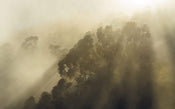 Komar Misty Mountain Vlies Fotobehang 400x250cm 4 banen | Yourdecoration.nl