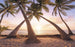 Komar Reaching the Sun Vlies Fotobehang 400x250cm 4 banen | Yourdecoration.nl