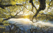 Komar Golden Embrace Vlies Fotobehang 400x250cm 4 banen | Yourdecoration.nl