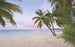 Komar Paradise Morning Vlies Fotobehang 400x250cm 4 banen | Yourdecoration.nl