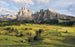 Komar Alpen Vlies Fotobehang 400x250cm 4 banen | Yourdecoration.nl