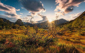 Komar Norwegische Herbstwelten Vlies Fotobehang 450x280cm 9 banen | Yourdecoration.nl