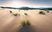 Komar Vivid Dunes Vlies Fotobehang 450x280cm 9 banen | Yourdecoration.nl