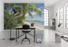 Komar Fiji Dreams Boat Vlies Fotobehang 450x280cm 9 banen Sfeer | Yourdecoration.nl