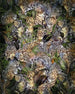 Komar Vlies Fotobehang x4 1046 Wild Cats | Yourdecoration.nl