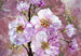 Komar Blooming Gems Vlies Fotobehang 368x248cm | Yourdecoration.nl